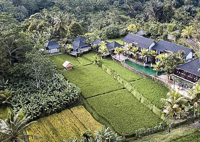 Pinggala Ubud BALI